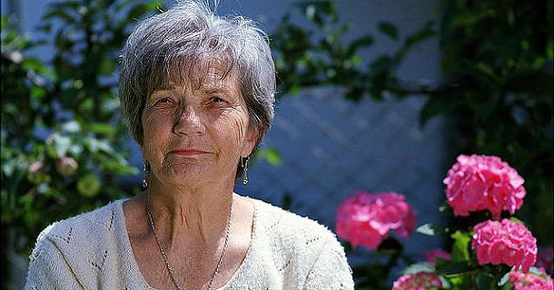 Contribuzione pagamenti pensione Inps